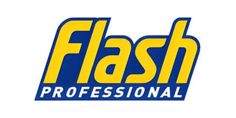 Flash logo