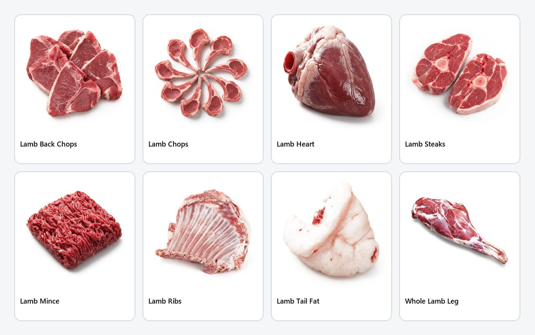 Lamb.  23 cuts photographed and written up.
