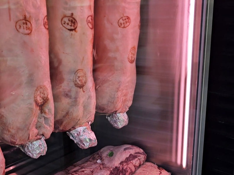Stamped whole lambs hanging in the chiller at Ikhlas Halal Butcher, Bradford